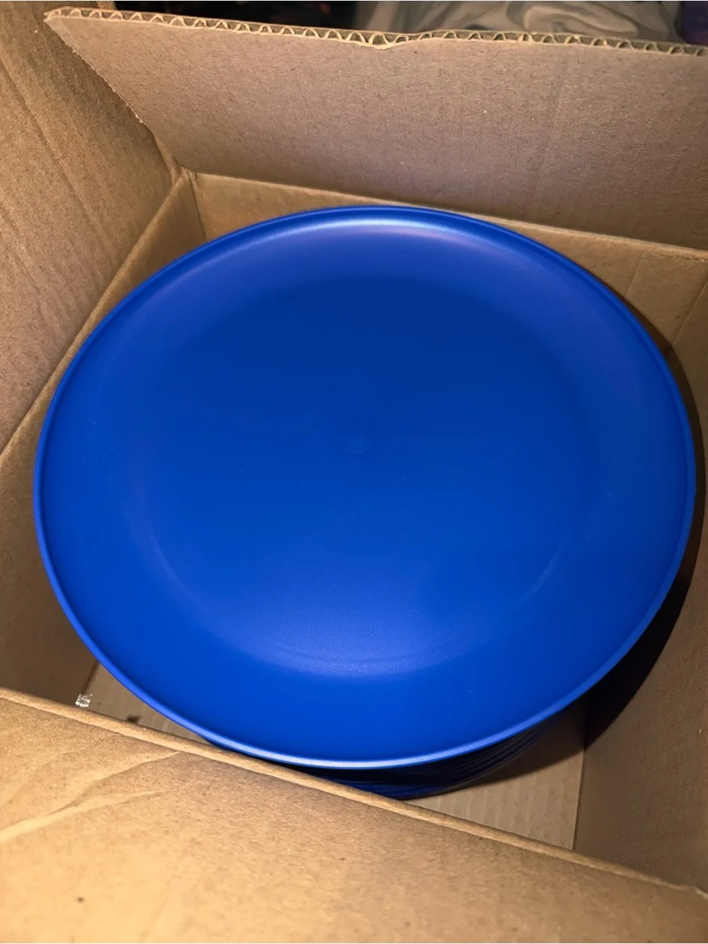 24- Room Essentials Blue Plastic Plate